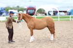 SBM_01218