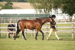 SBM_10470