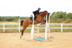SBM_009961