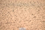 240912A-094754-00243