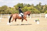 SBM_019250
