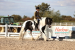SBM_18298