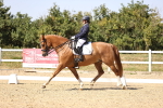 SBM_006575