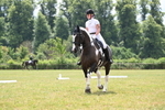 WJ6_6879
