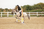 SBM_007440