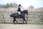 SBM_004705