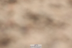 250622-115331-15110