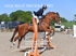BPP_7972