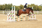 SBM_007893