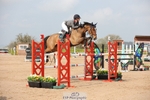 Cls 33 Young Horse 7yr old portfolio