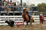 _DSC0396