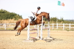 SBM_000963