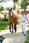 305-BARRINGTON_57-Izzy_Taylor-WEDTrotUp+DR portfolio