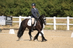 SBM_013527