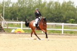 SBM_001981