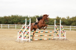 SBM_008699