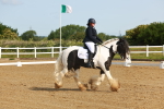 SBM_006971