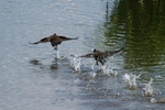 20110702-IMG_6196