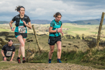 Helm Hill -571