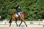 255-HI_MR_HENRY-Henry_Hobby-WEDTrotUp+DR portfolio