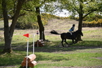 WJ6_9867