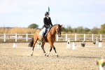 SBM_016085