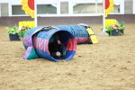 SBM_002386