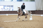 SBM_000955