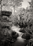 Little Stream Falls