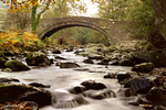 Aber bridge 83-11-9