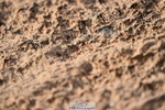 231101A-120124-00200