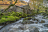 Borrowdale Mill