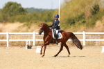 SBM_018340