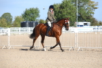 SBM_17476