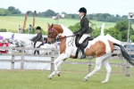 SBM_17601