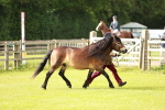 SBM_00445