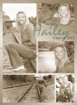 Vintage - hailey