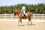 SBM_004895