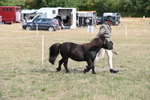 WJ6_6821