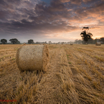 Broughton Bales
