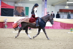 SBM_10282