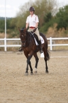 SBM_009075