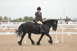 SBM_01874