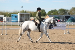 SBM_12323