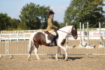 SBM_03108