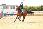 SBM_003766