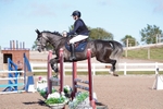 Cls 4 Pony 1m Open portfolio
