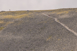 Uphill Only-345