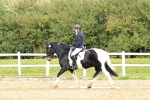 SBM_003553