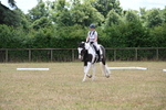 WJ6_5419